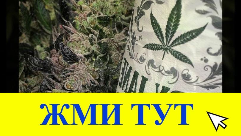 Купить наркотики в Сунже